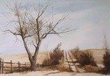 by Don  Cull