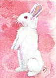 by Betty Stoumbos
