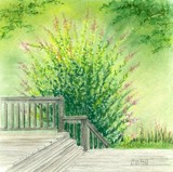 by Lisa Bell