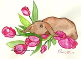 by Niina Niskanen