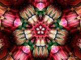 by KATHY NEPIA