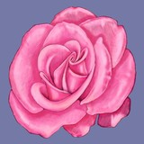 by Ruth Ducker