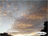 by Cibeles Jolivette Gonzalez