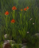 by dawnae zobrist