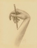 by Julianna Ziegler