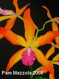 by Pam Mazzola
