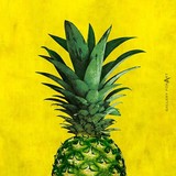 by artur wasielewski