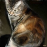 by KY Cady