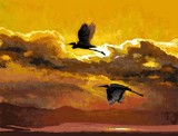 by Carole Boyd