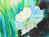 by Amanda Tallcot