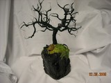 by Doris Lindsey