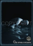 by IXIMAGES  