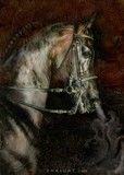by John Enright