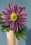 by Debbie Shirley