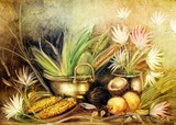 by Fátima Stamato