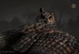 by Kjetil Barane