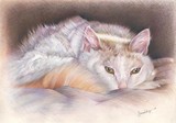 by Geraldine Simmons