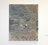 by elizabeth Bayless