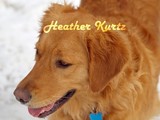 by Heather Kurtz