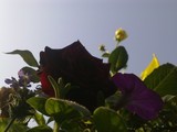 by Vaibhav N