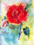 by Hedwig Pen