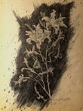 by Vladimir Bagalika