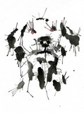 by Zile 