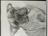 by Stacey Makar