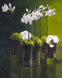 by Magdalena Czubak Scholle