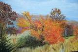 by cindy kelly
