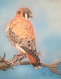 by Margi Tucker