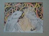 by hemi marteni