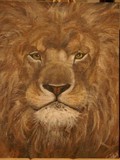 by Stacey Patterson