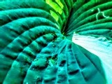 by jason Chatman