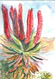 by marguerite de la Harpe
