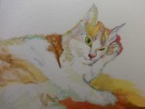 by Irina Stroup