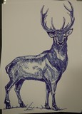 by refael degorker