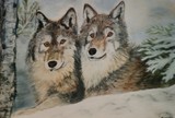 by Dawn Moir-Harris 