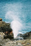 by Reef Upwelling
