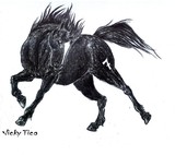by Vicky Tico