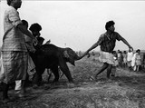 by sanjoy ghosh