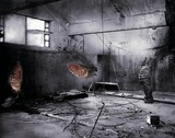 by Siro Anton