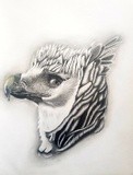 by Diana Bercea