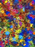 by Lyle  Kroll
