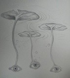by Emilya Bair