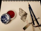 by M Jane Letty