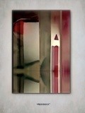 by Brenda  Garacci