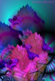 by Nira Dabush