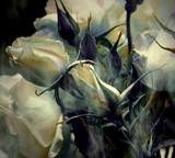 by Phillip Owen