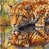 by Mark Peterson